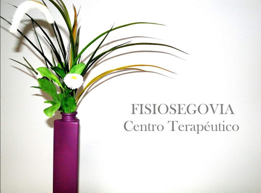 Centro de fisioterapeutas Fisiosegovia en Segovia -