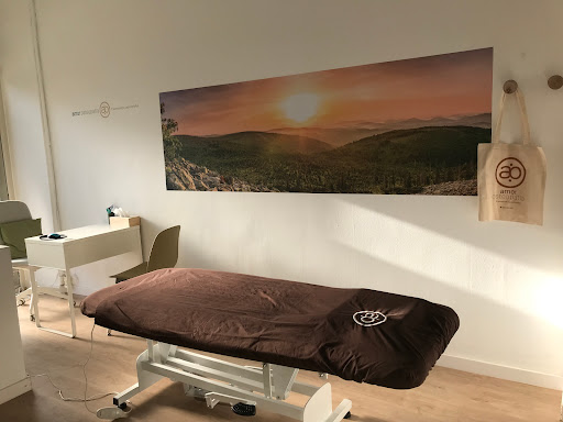 Centro de fisioterapeutas amorosteopatia en Montornès del Vallès -